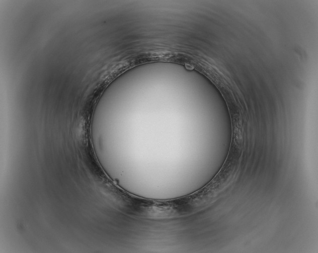 X0000115080270200911101509