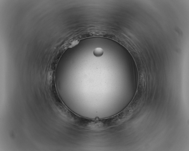 X0000115080271200911101509