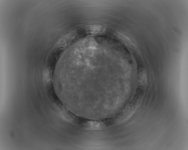 X0000115080272200911101509