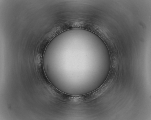 X0000115080273200911101509
