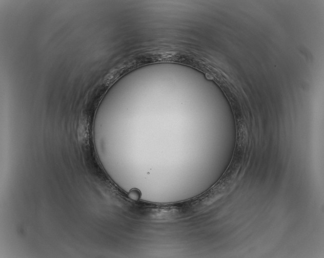 X0000115080274200911101509