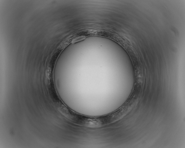 X0000115080275200911101509