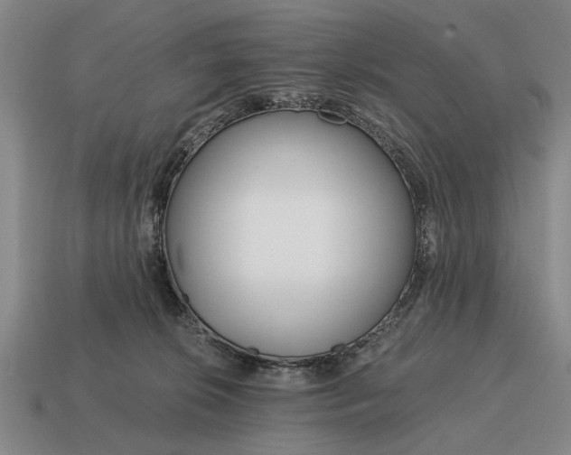 X0000115080276200911101509