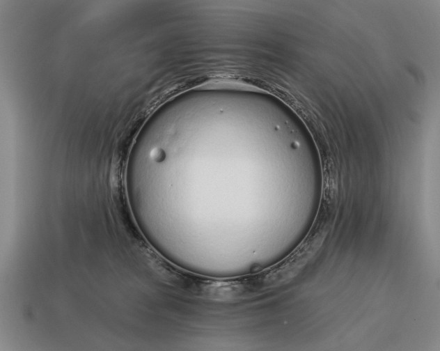 X0000115080277200911101509