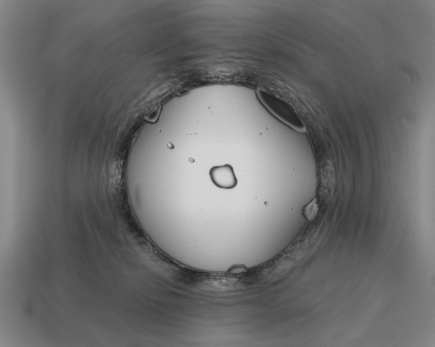 X0000115080278200911101509