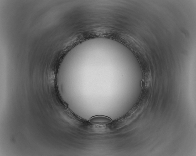 X0000115080279200911101509