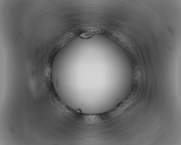 X0000115080281200911101509