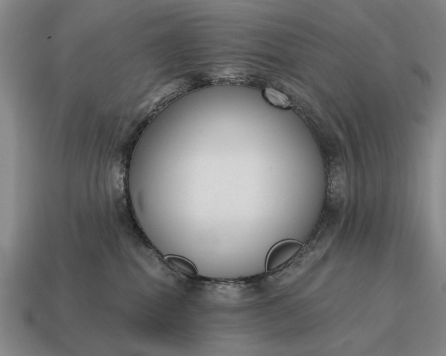 X0000115080282200911101509