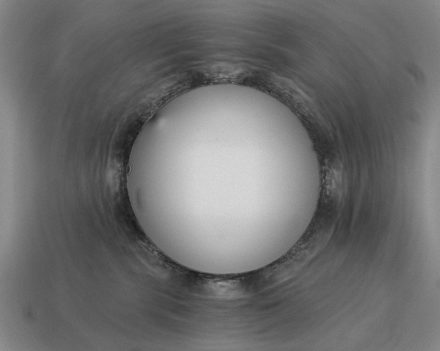 X0000115080283200911101509