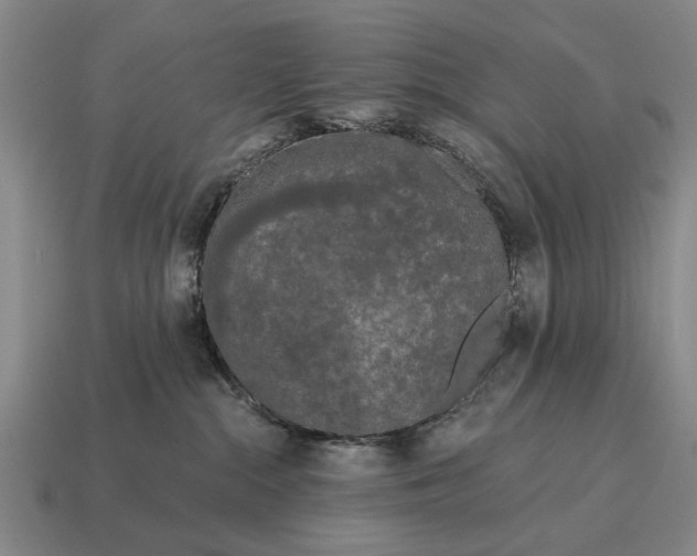 X0000115080284200911101509