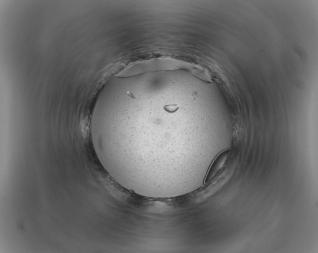 X0000115080285200911101509