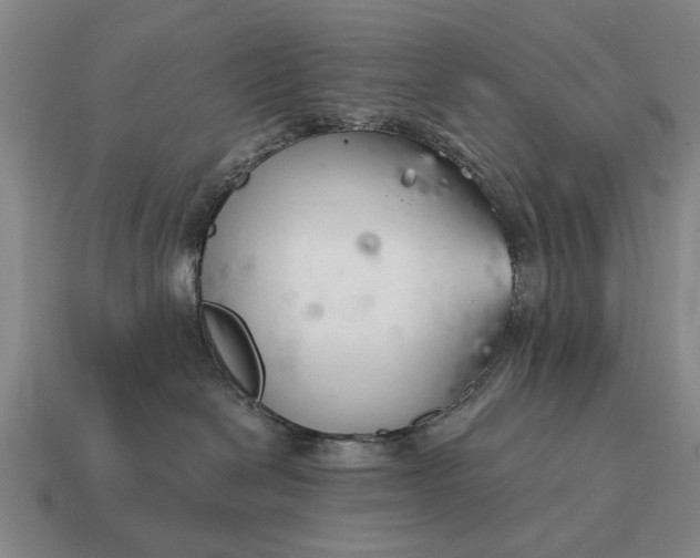 X0000115080286200911101509
