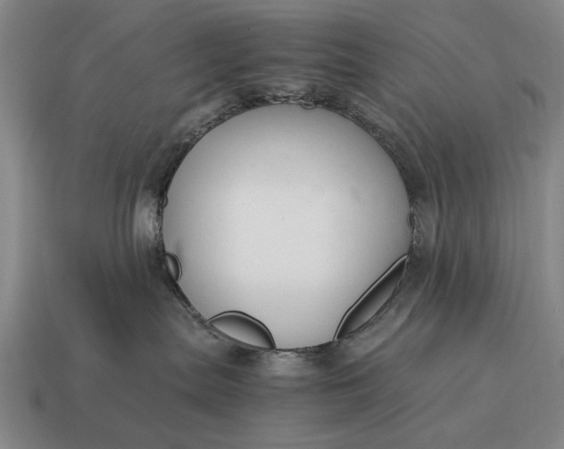 X0000115080287200911101509