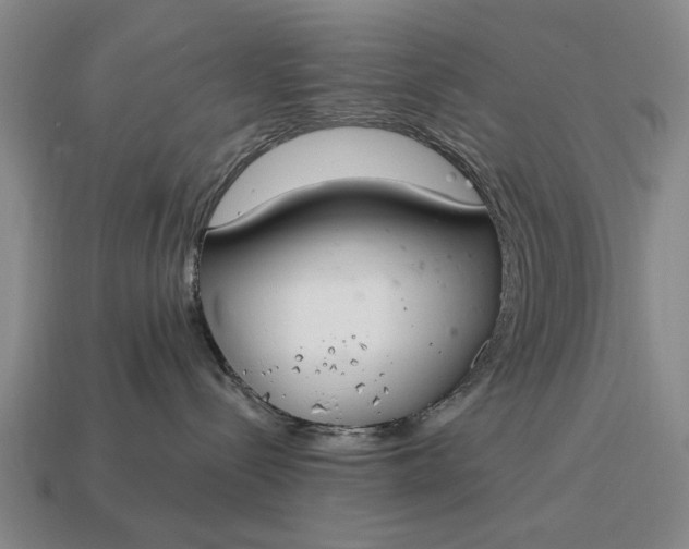 X0000115080288200911101509