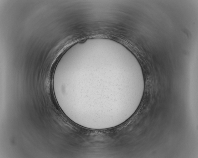 X0000115080290200911101508