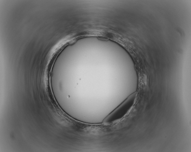 X0000115080294200911101508