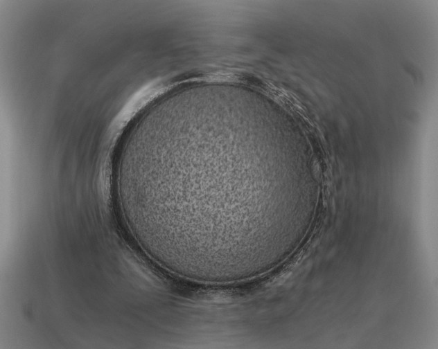X0000115080295200911101508