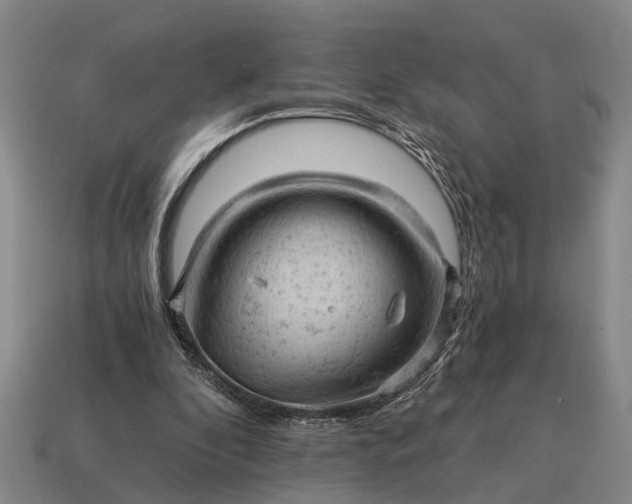 X0000115080296200911101508