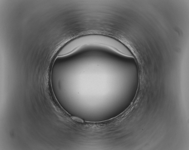 X0000115080297200911101508