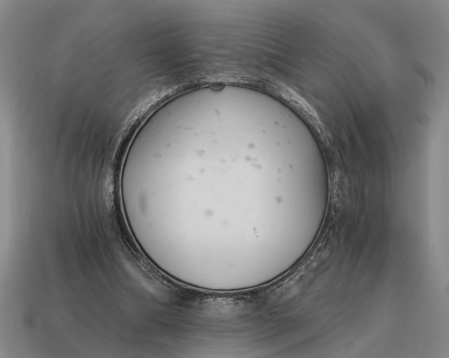 X0000115080298200911101508