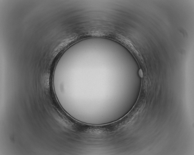 X0000115080299200911101508