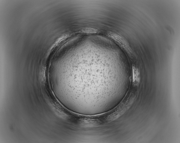 X0000115080300200911101508