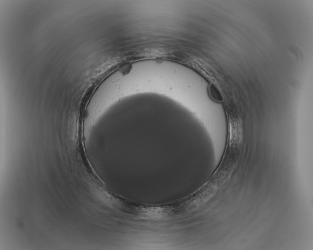 X0000115080301200911101508