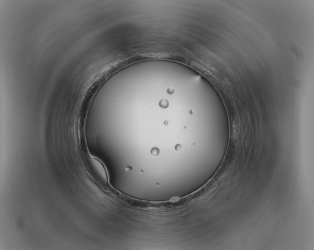 X0000115080302200911101508