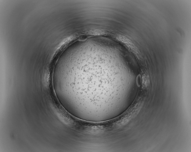 X0000115080304200911101508