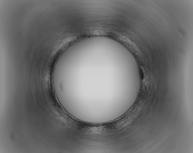 X0000115080306200911101508