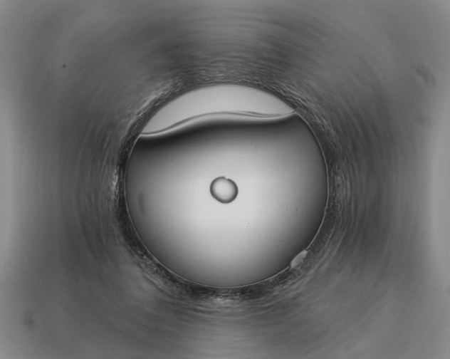 X0000115080308200911101508