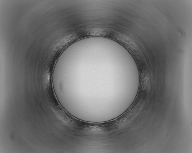 X0000115080310200911101508