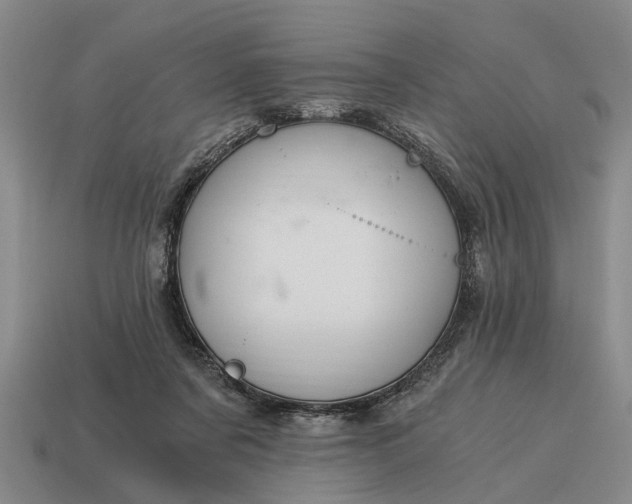 X0000115080311200911101508