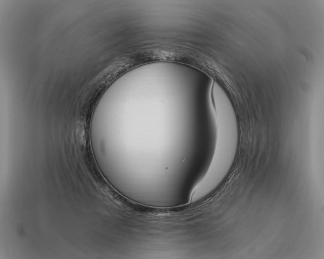 X0000115080313200911101508