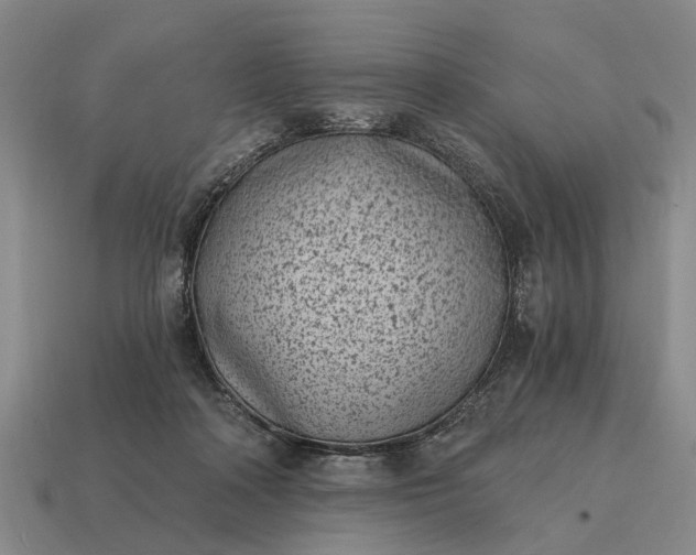 X0000115080314200911101508
