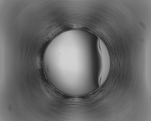 X0000115080316200911101508