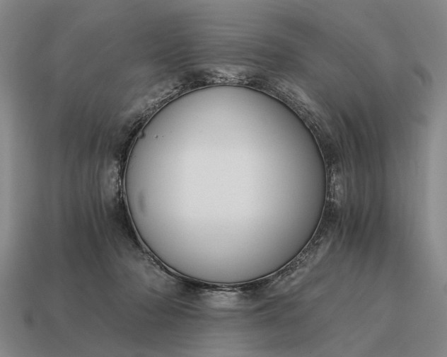 X0000115080318200911101508