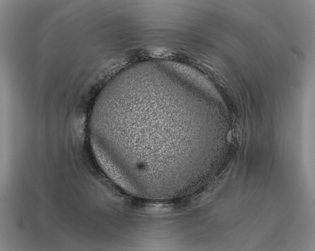 X0000115080319200911101508