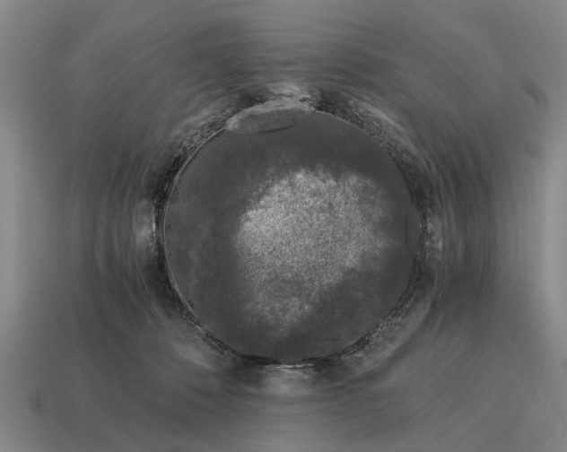 X0000115080320200911101508