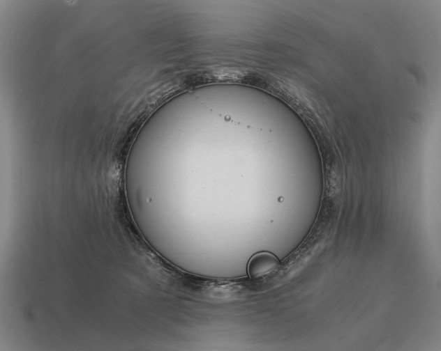 X0000115080321200911101508