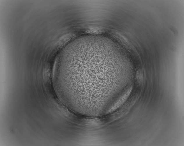 X0000115080322200911101508