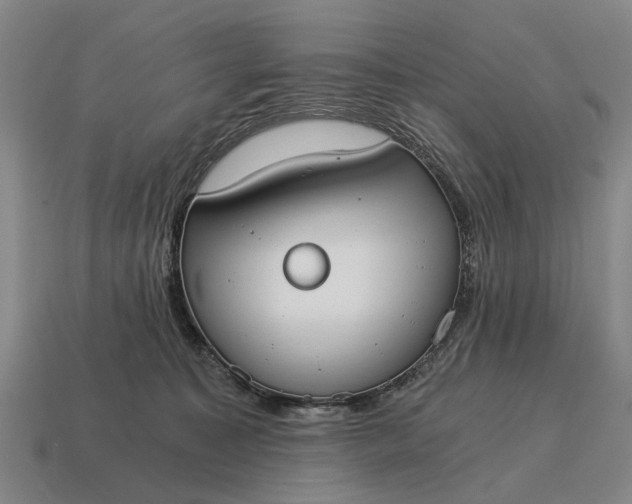 X0000115080323200911101508