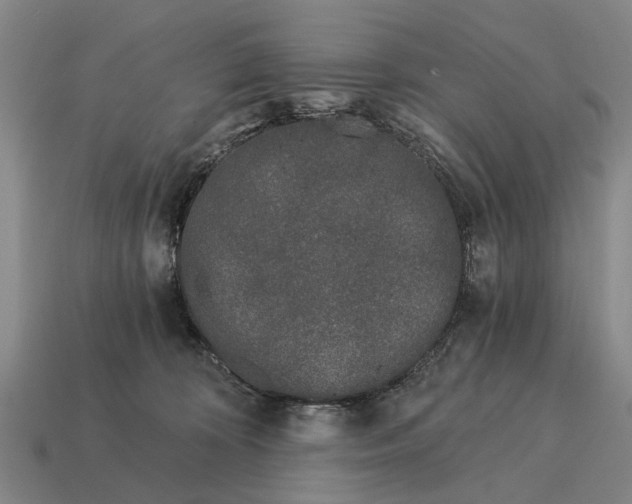 X0000115080324200911101508