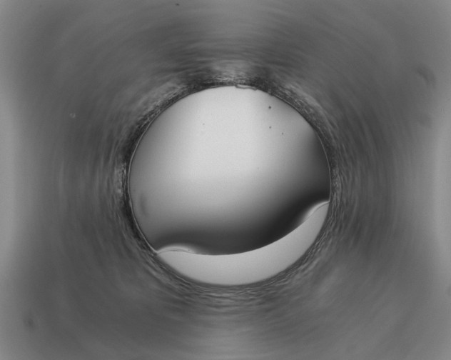 X0000115080325200911101508