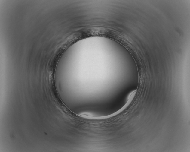 X0000115080327200911101508
