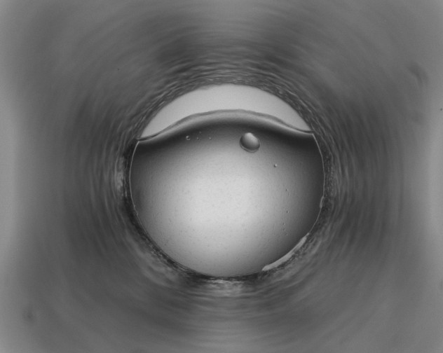 X0000115080328200911101508