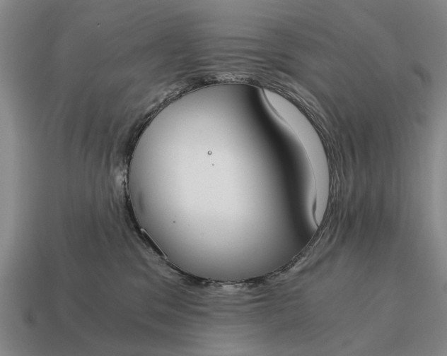 X0000115080329200911101508
