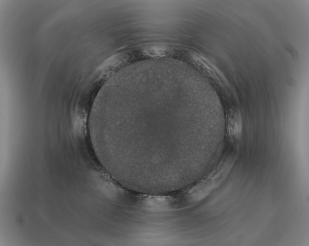 X0000115080332200911101508