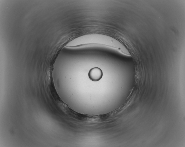 X0000115080333200911101508