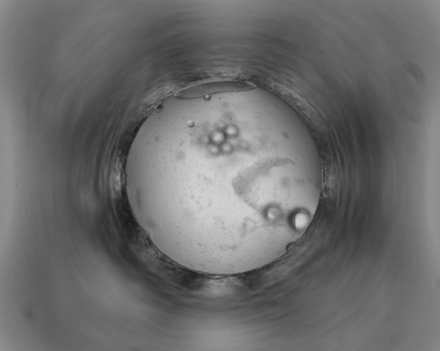 X0000115080334200911101508